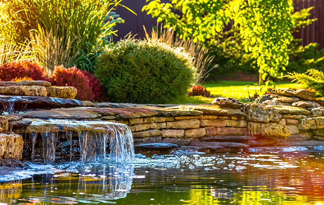 beautiful landscaping with beautiful plants